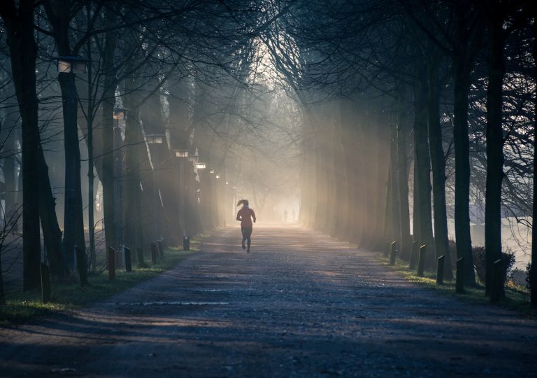 photo of a person running along a street lined with tall trees
